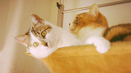 0328_03.jpg