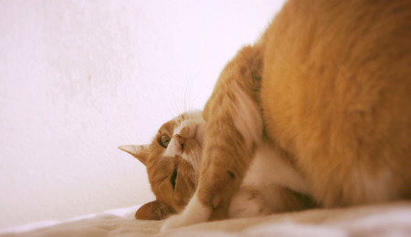 0412_03.jpg
