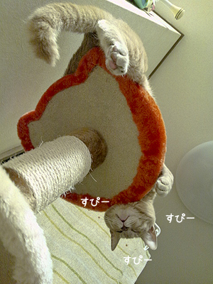 0419_01.jpg