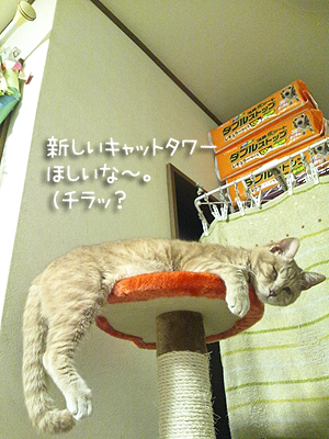 0419_02.jpg