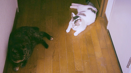0501_01.jpg