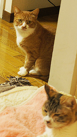 1231_01.jpg