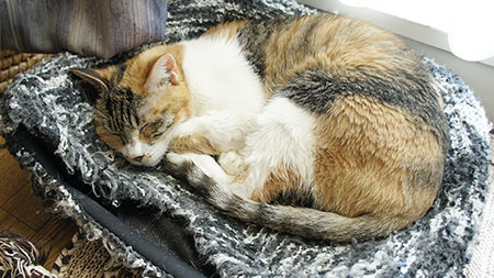 1231_02.jpg