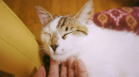 0511_01.jpg