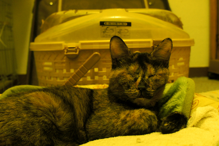 0610_01.jpg