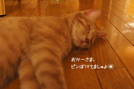 0813_01.jpg
