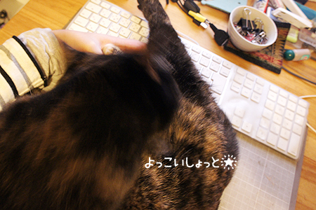1206_01.jpg