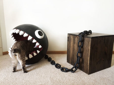 chomp6__880.jpg