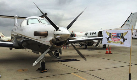 shelter-dog-airplane-transport-wings-of-rescue-yehuda-netanel-10.jpg
