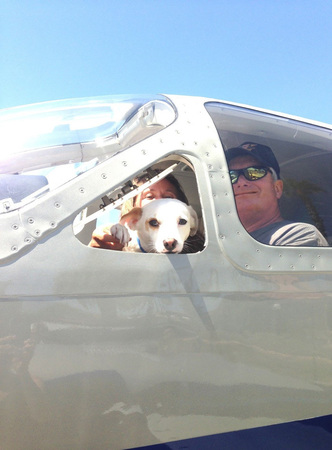shelter-dog-airplane-transport-wings-of-rescue-yehuda-netanel-18.jpg